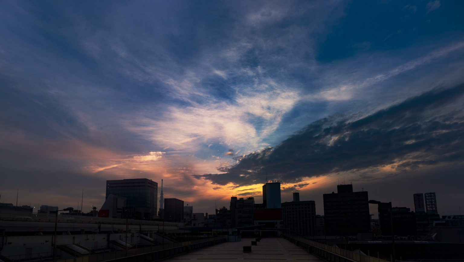 東京都台東区上野 パンダ橋の夜景と朝焼け
