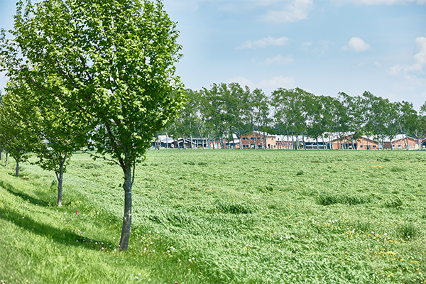 北海道江別市 酪農学園大学
