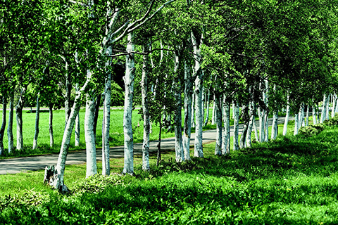 北海道江別市 酪農学園大学