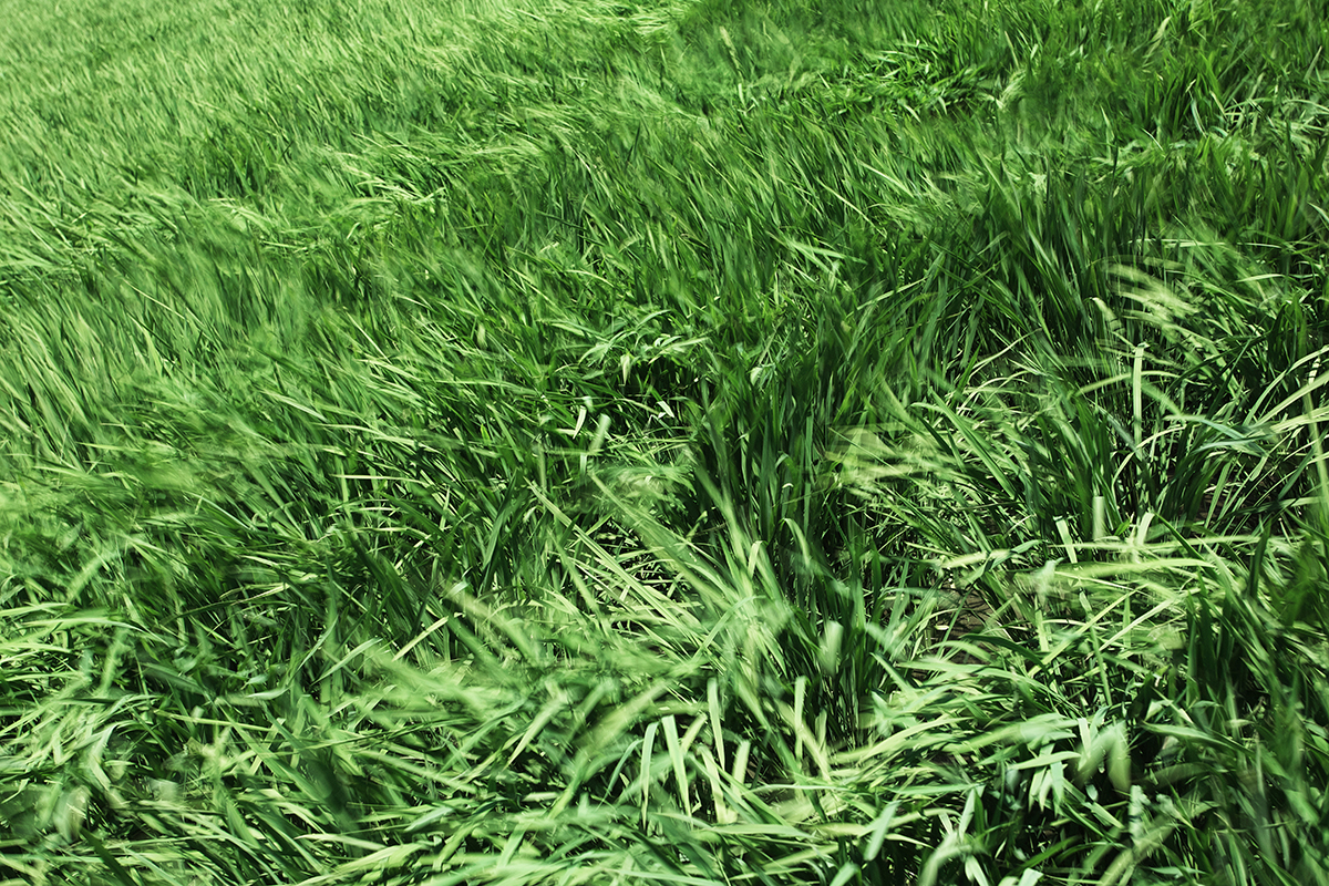 福井県若狭町 水月湖