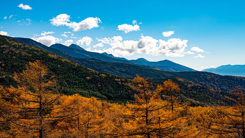 Cover story 長野県茅野市 Image 1