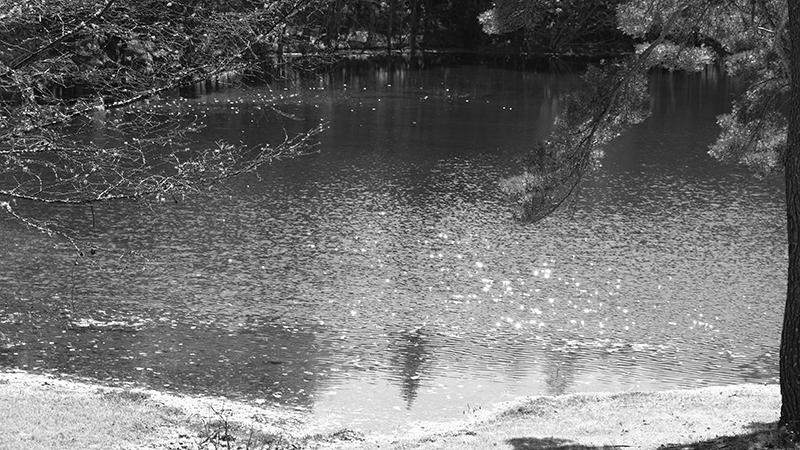 Cover story 長野県茅野市 Image 11