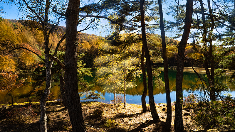 Cover story 長野県茅野市 Image 6
