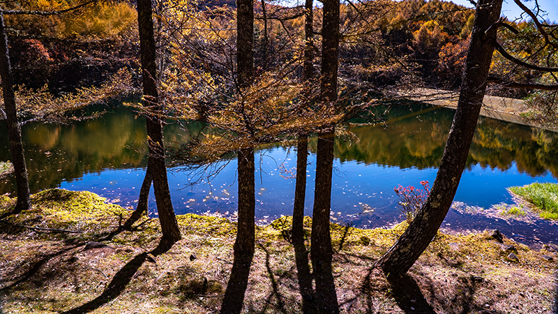Cover story 長野県茅野市 Image 7