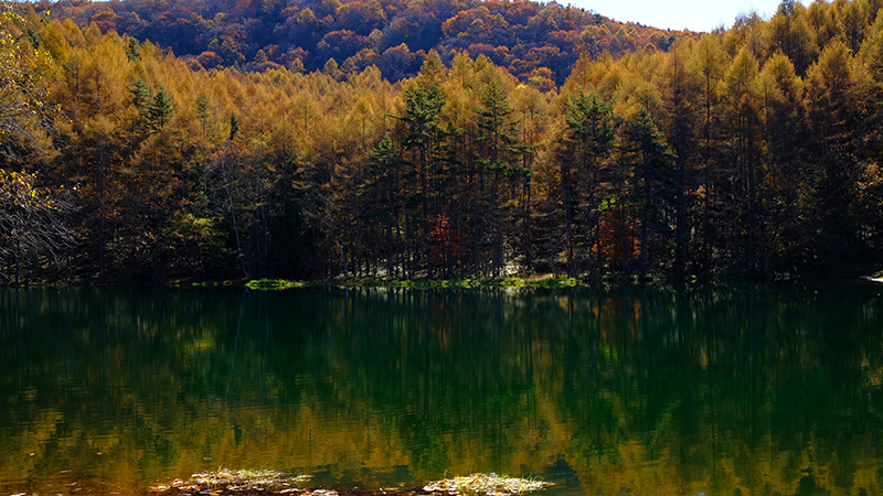 Cover story 長野県茅野市 Image 8