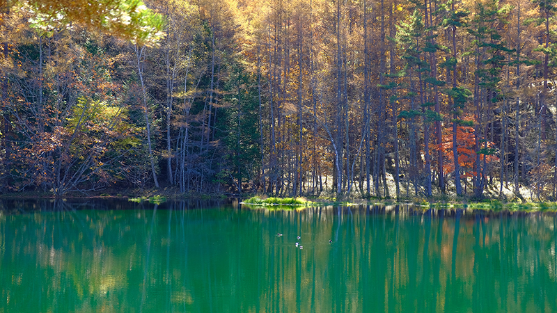 Cover story 長野県茅野市 Image 9