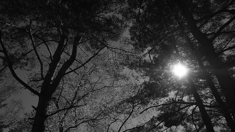 Cover story 長野県茅野市 Image 10