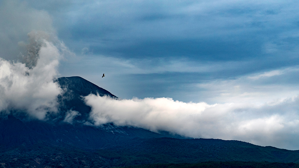 鹿児島県垂水市海潟港から臨む桜島
